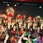 Kölner Narrenzunft (13.01.13)